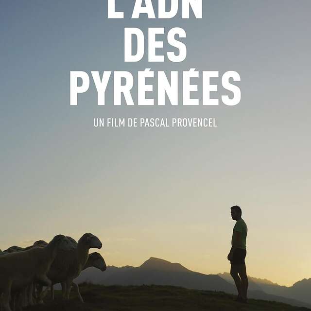 Immersion autour du film "L'ADN des Pyrénées"