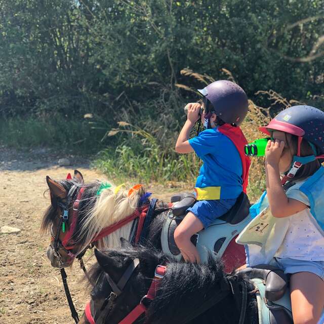 Chasse aux œufs de Pâques à cheval
