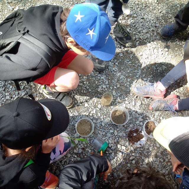 Insectes, petites bêtes et vie du sol : randonnée à la rencontre du petit peuple animal.