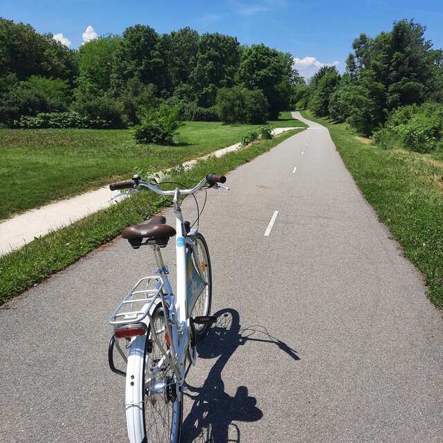 Atelier Vélo avec TAC