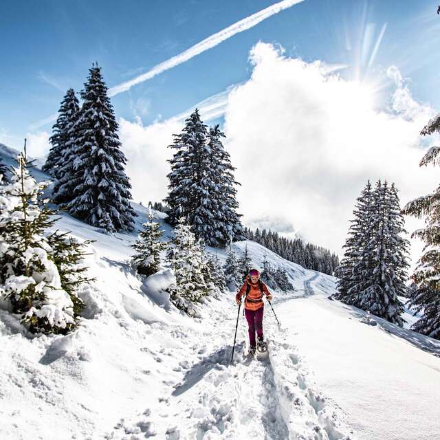 Itinéraire raquettes - Pas de Morgins