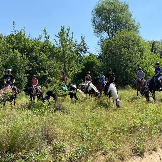 Balade a cheval 