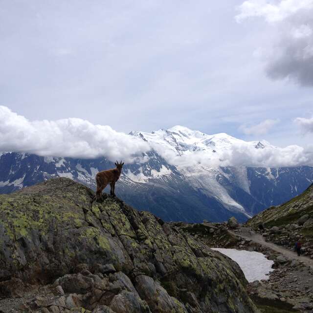 Aiguilles Rouges nature reserve