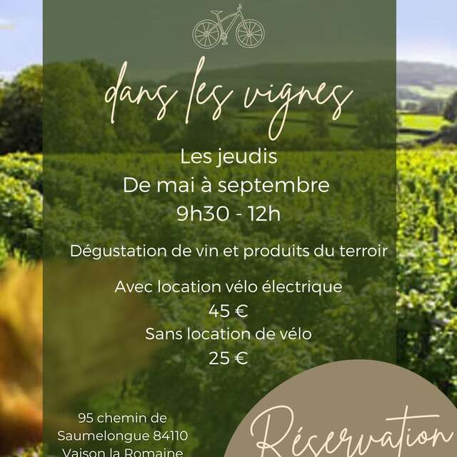 Guided bike ride through the vineyards - Cave la Romaine