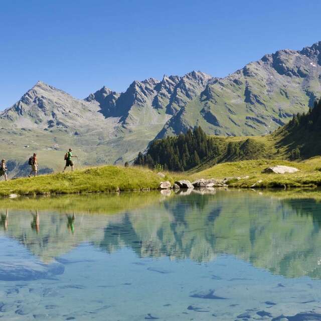 Cabane de Mille - Goli de Servay