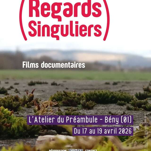 Regards Singuliers