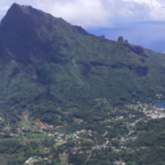 Teheiarua Rando