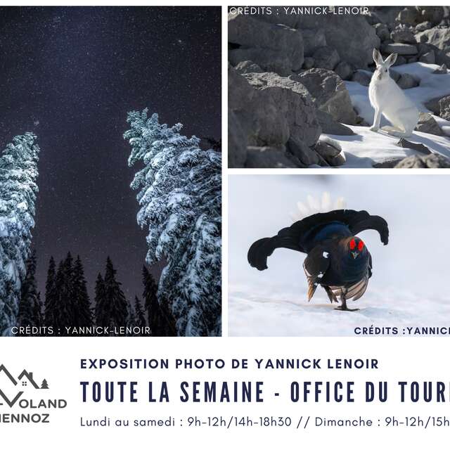 Exposition photo de Yannick Lenoir