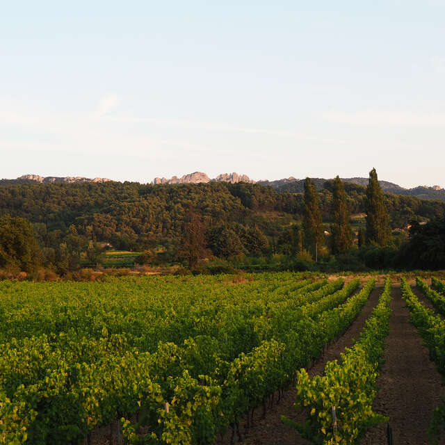 Domaine des Pasquiers