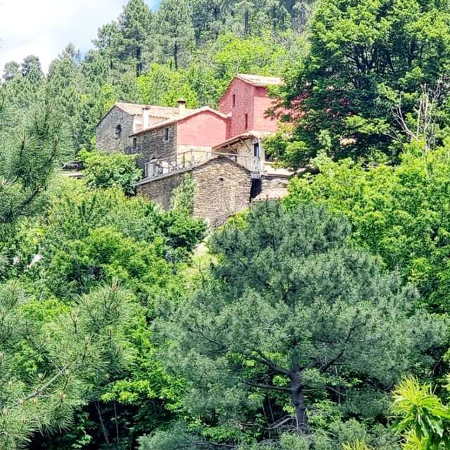 Domaine du Moment présent
