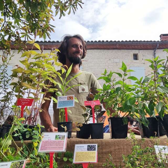 Des forêts à croquer