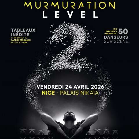 Murmuration Level 2