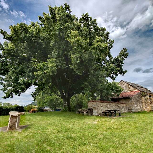Découverte de la chapelle de Saint-Rémi - Salavre