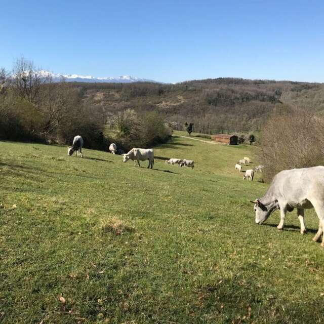 La Ferme de la Besse