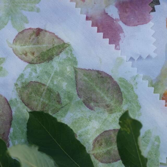Atelier impressions végétales – Tataki zomé