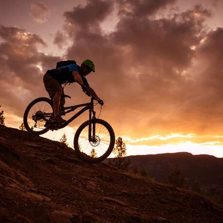 Session Descente VTT  avec Wat Bike et Bérod Sports