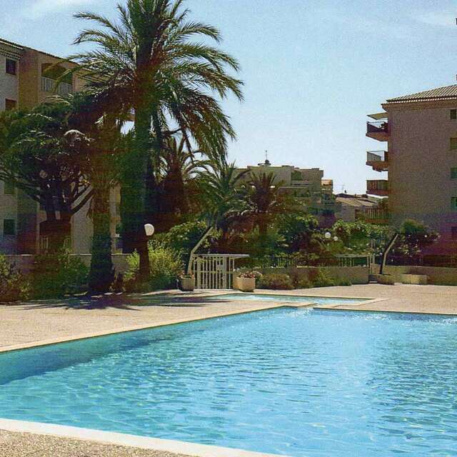 La Palmeraie