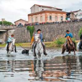 Feria - Lacher d’anoubles