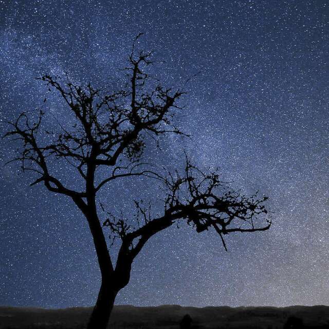 Tant qu'il y aura des étoiles : apéro dînatoire, film et balade nocturne