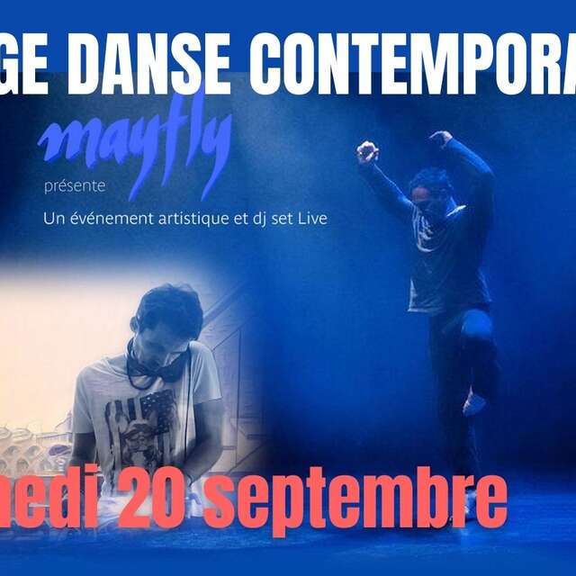 Stage de Danse Contemporaine