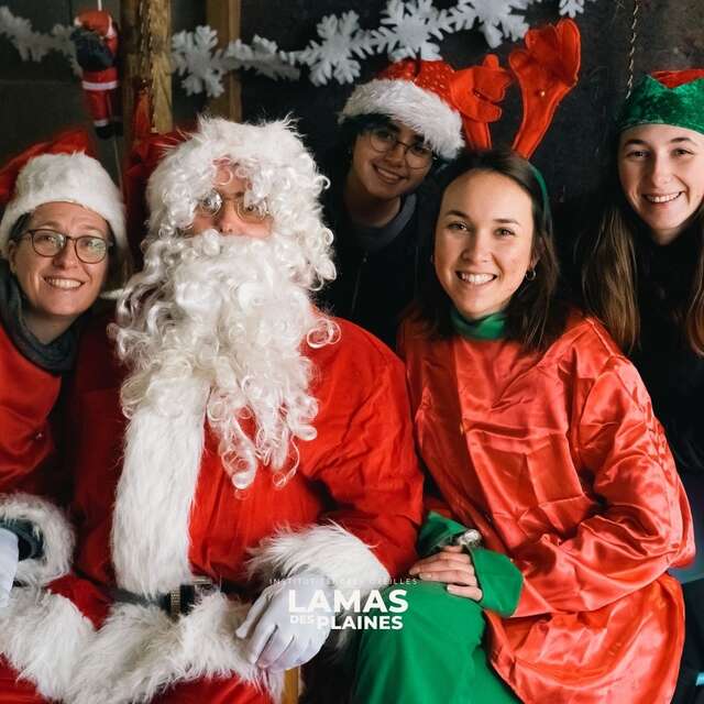 Noël des Lamas des plaines