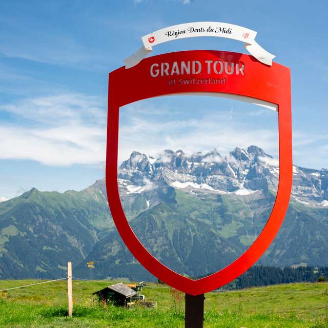 Foilleuse - Pertruis Chétrain - Bonavau - They - Morgins