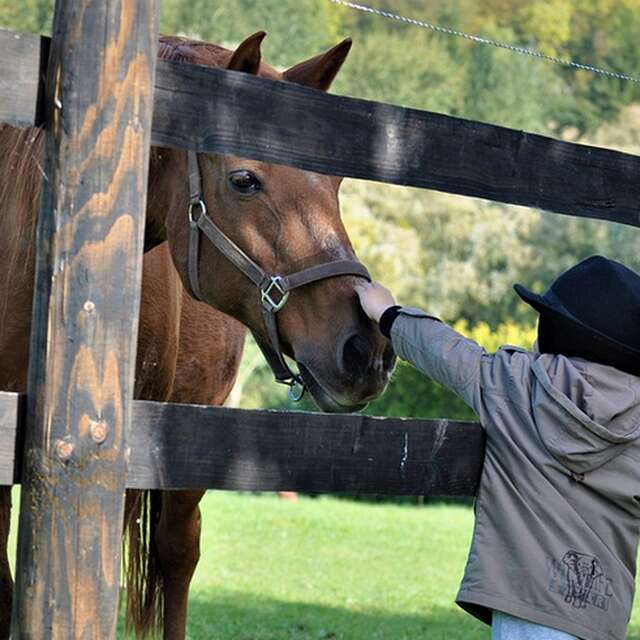 La balade des petitous par Cheval et Provence