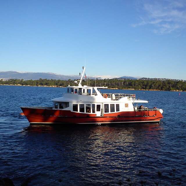 Planaria - Traversée en bateau vers l'Ile Saint Honorat