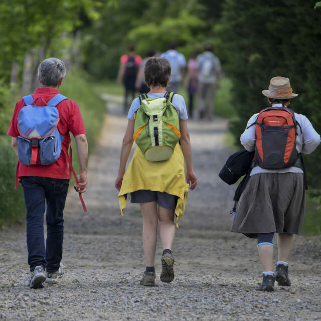 Le tour des plateaux