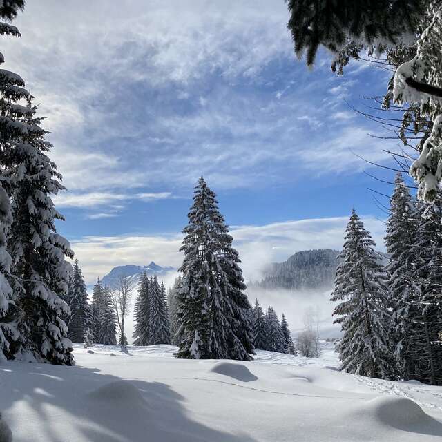 Vecteur Montagne