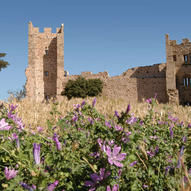Remains of the castle and the town ramparts