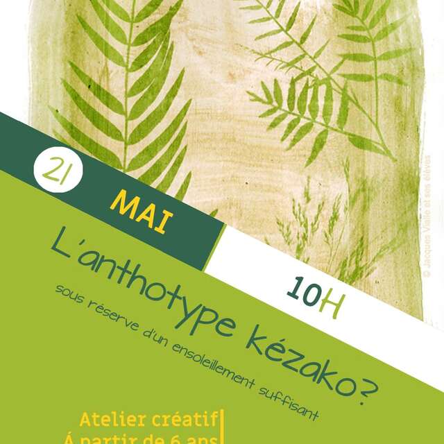 L'anthotype kézako ?