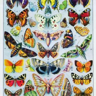 24h naturalistes !