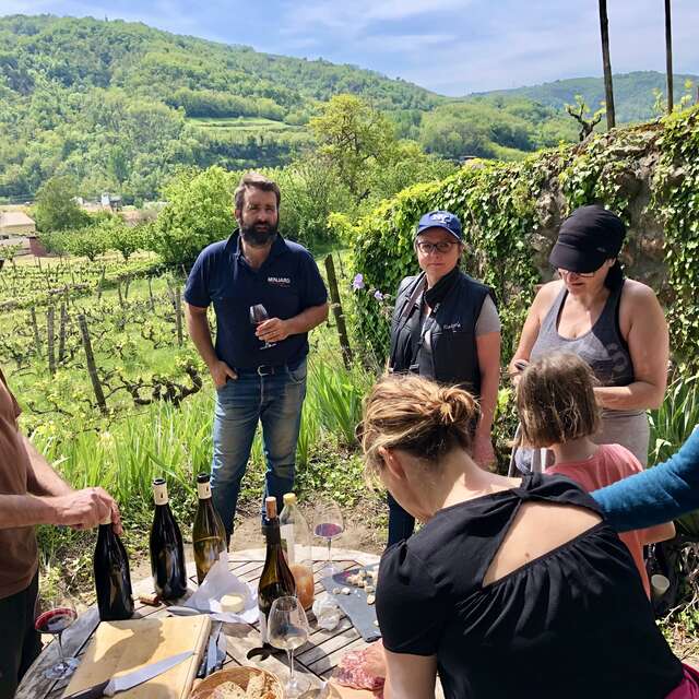 Apéro sunset dans les vignes - Domaine Grenier