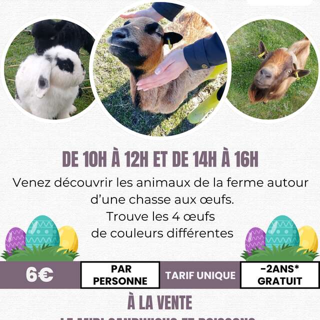 Chasse aux oeufs à la ferme animalière des Pibouls