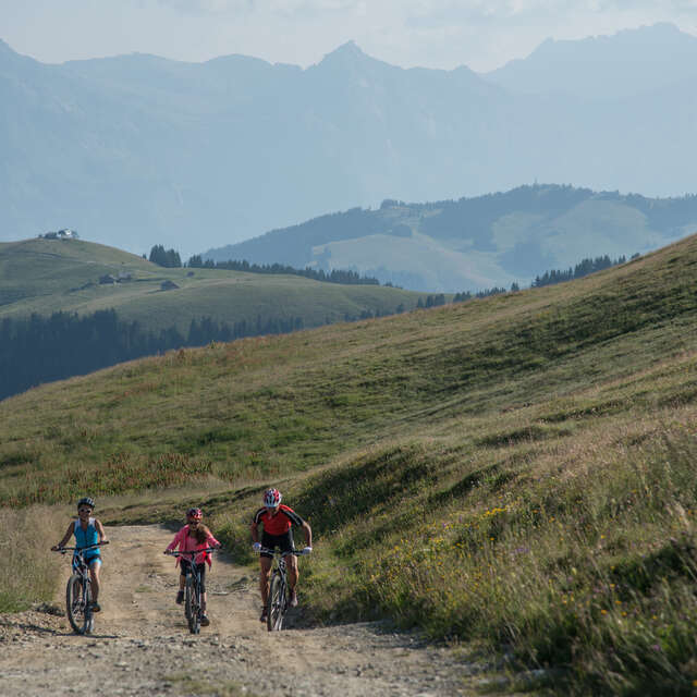 Cross country MTB - Le Plan Mermin