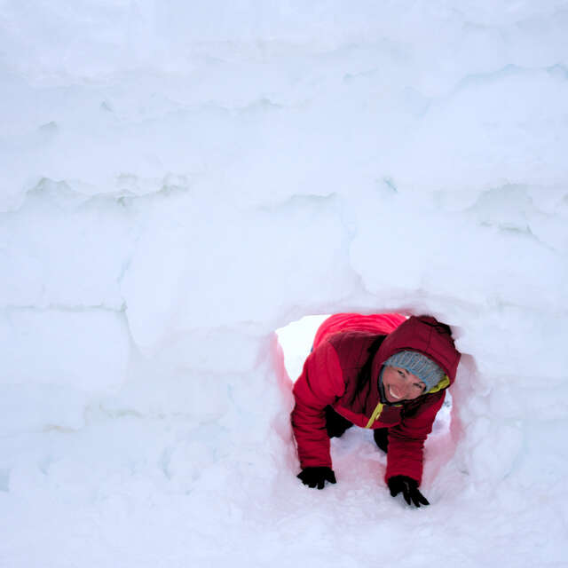 Construire son igloo - Altimood