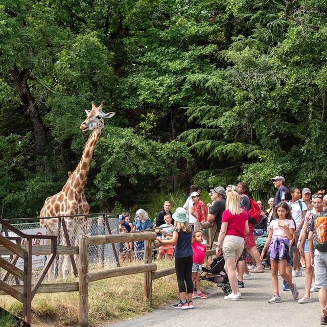 Peaugres Safari Park