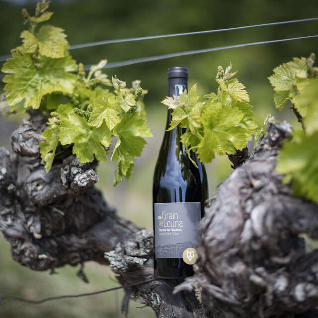 Domaine des Maladières