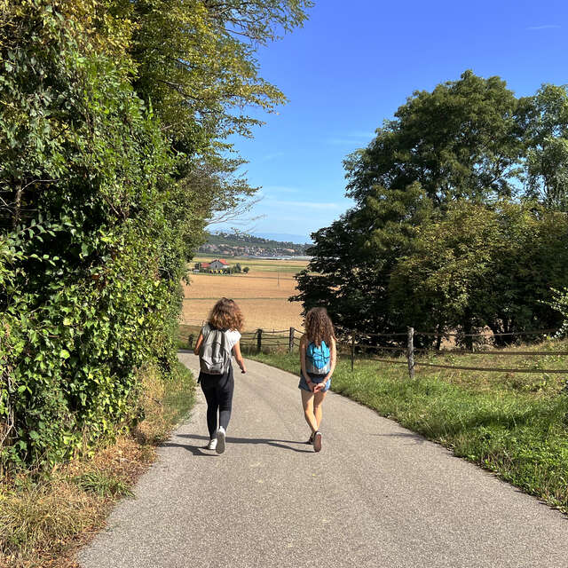 Verbundener Spaziergang : Grabuge à Thairy