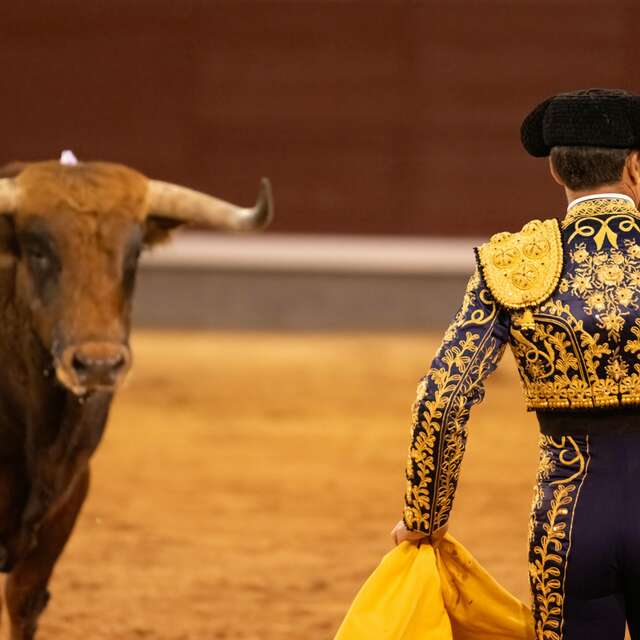 Feria - Novillada non piquée