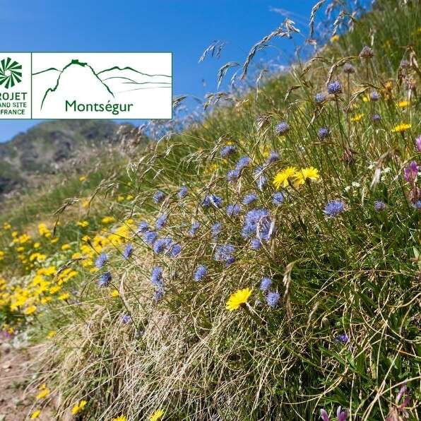 Regards croisés sur la biodiversité de Prades