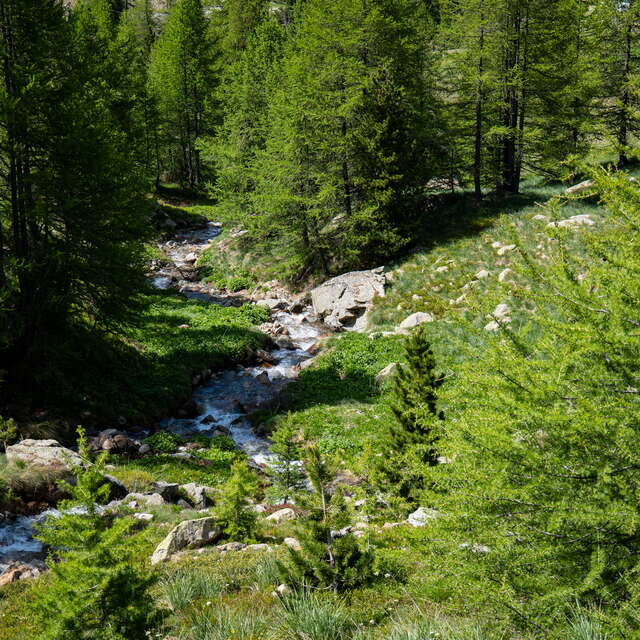 Départ randonnée - Refuge du Dahu et le village de San Bernolfo