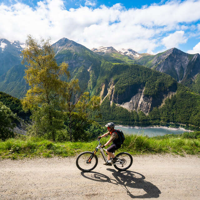 VTT à assistance électrique Station / Molière / Station