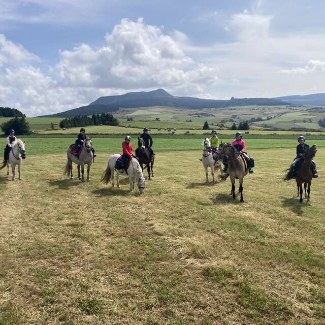 Activités ludiques autour du cheval