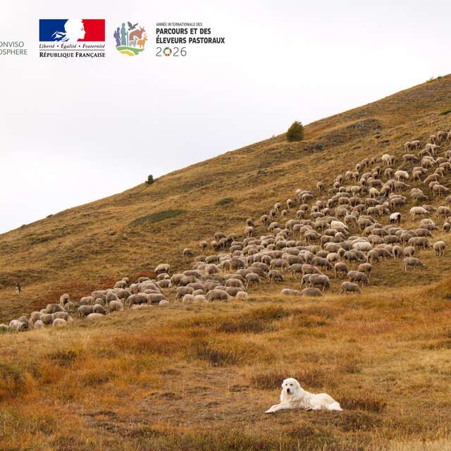 Soirée pastorale à Saint-Véran