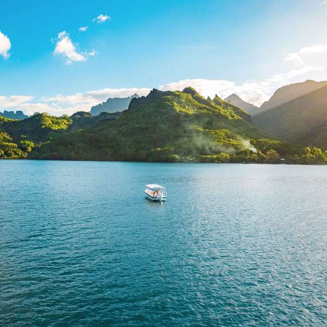 Aimeho Private Escapes - Whale watching tours