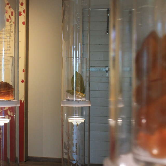 The House of Candied Fruit (La Maison du Fruit Confit)