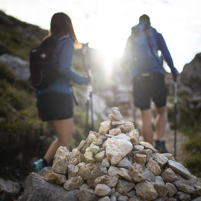 Hiking : le Tour de la Miaz
