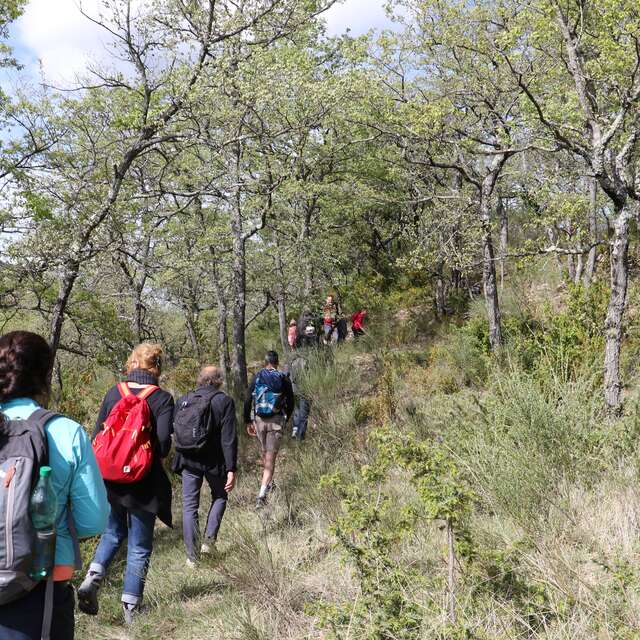 Balade "À la découverte des trésors cachés du site de la Thomassine"